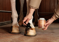 GD Hoof Oil Shine 500ml bezbarwny - Kentucky Grooming Deluxe 