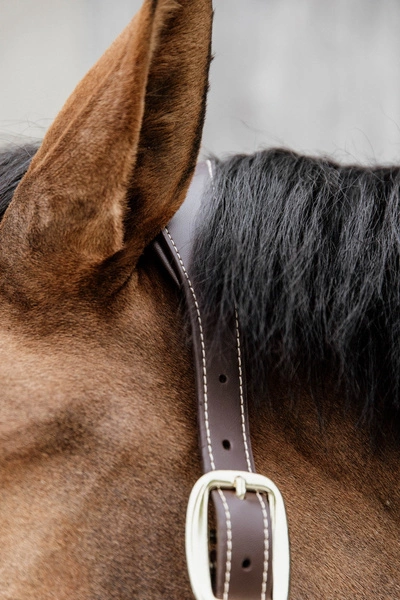 Kentucky kantar Nylon Anatomic - beżowy