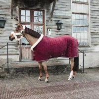 Kentucky derka stajenna Velvet 160g - bordowa
