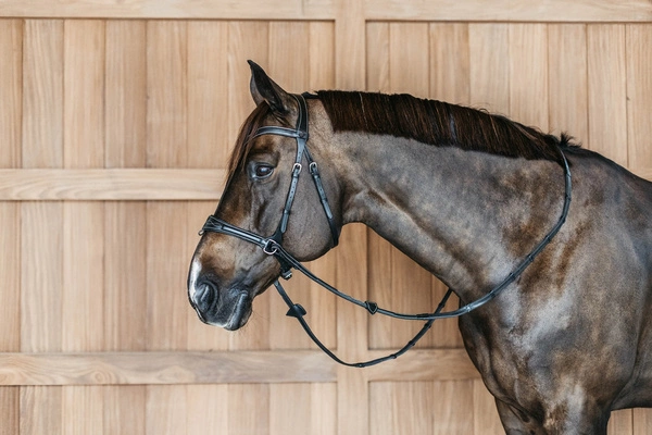 Ogłowie Dy'on z nachrapnikiem D Motion Working - czarne