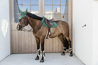 Kentucky Ochraniacze Vegan Sheepskin Young Horse Fetlock Velvet na zadnie nogi - ciemna zieleń