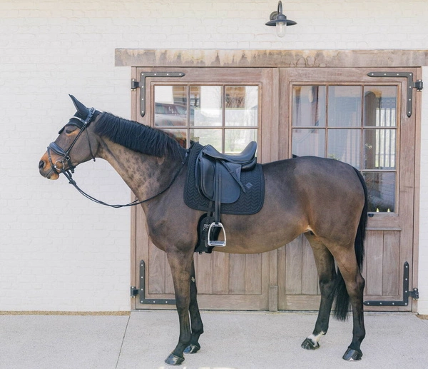 Kentucky czaprak Metal Chain - czarny