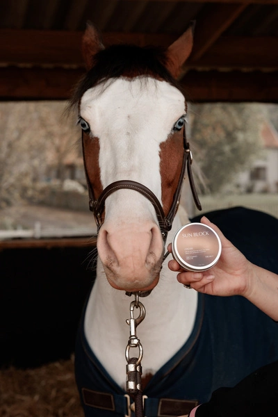 Sunblock – ochronny krem przeciwsłoneczny 150g - Kentucky Grooming Deluxe