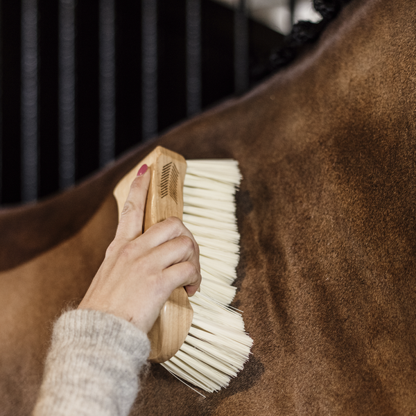 Miękka szczotka ze średniej długości włosiem - Kentucky Grooming Deluxe