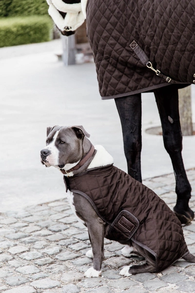 Kentucky derka dla psa Original - brązowa