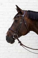 Ogłowie Dy'on New English Flash Noseband Bridle - Soft Collection - brązowe