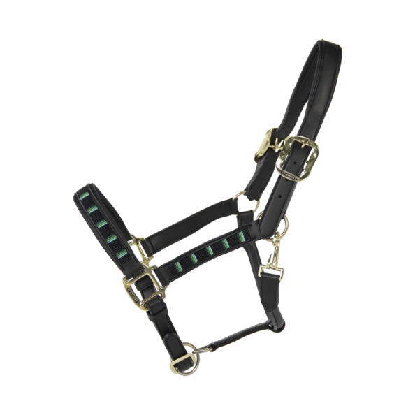 Kentucky kantar Pearls - czarny