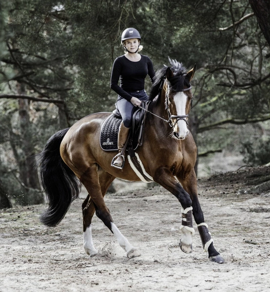 Kentucky anatomiczny popręg z futrem - brązowy