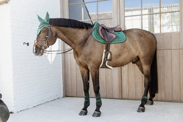 Kentucky Ochraniacze Young Horse Fetlock Velvet na zadnie nogi - ciemna zieleń