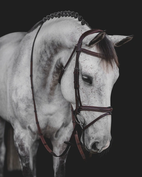 Ogłowie Equiline z przeszyciami BJ301 - brązowe