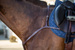 Skórzany napierśnik Dy'on Long Bridge Breastplate New English