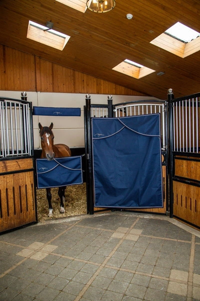 Dy'on bramka na boks