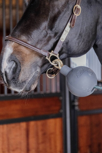 Kentucky Rubber Ball Protection - gumowa kula ochronna do uwiązów i ściany - szara