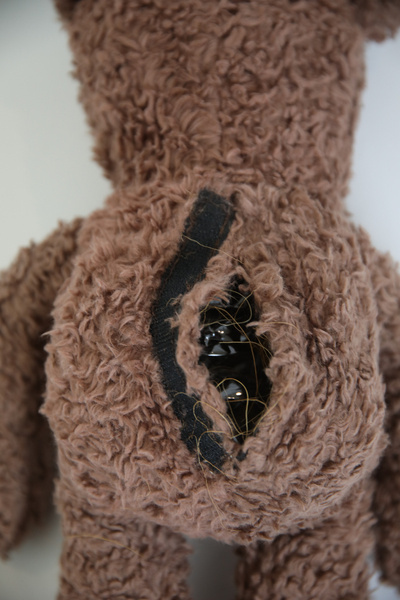  Kentucky zabawka do boksu Bear
