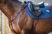 Skórzano-elastyczny napierśnik Dy'on Breastplate New English