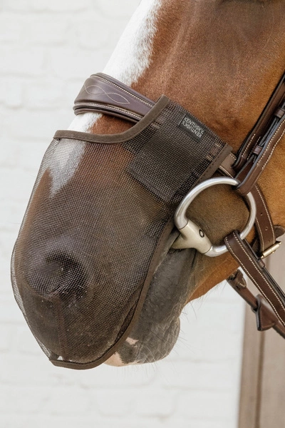 Kentucky maska na nos chroniąca przed owadami - brązowa