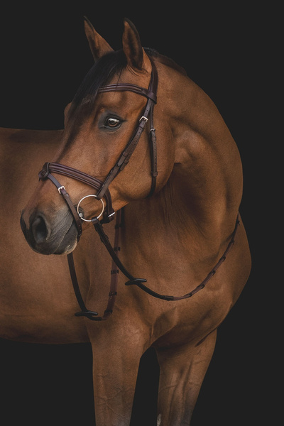 Ogłowie Equiline BJ300 - brązowe