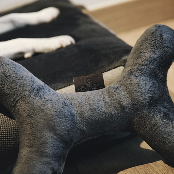 Pluszowa piszcząca kość dla psa Kentucky