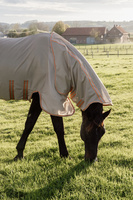 Derka Kentucky Mesh Fly Rug Comfort
