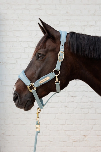 Kentucky kantar anatomiczny Velvet - błękitny