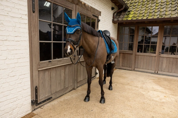 Nauszniki Kentucky Wellington Velvet Horse Printing- granatowe