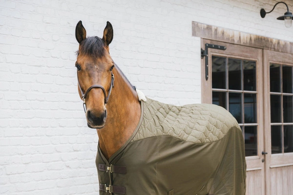 Kentucky derka polarowa Transport Combo Cooler - khaki