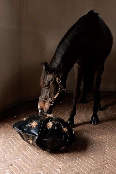 Worek na siano Kentucky Play & Haybag Slow Feeder Round