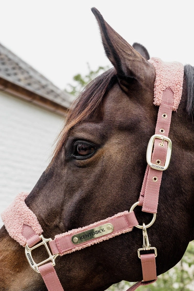 Kentucky kantar Teddy Fleece podszyty puchatym polarem - old rose