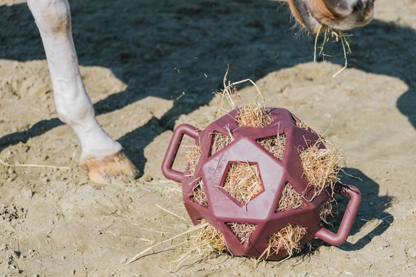 Kentucky elastyczna piłka na siano Relax Horse Play & Hay Ball - bordowa