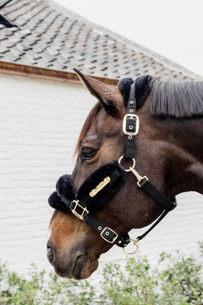 Kentucky kantar podszyty futrem Soft - czarny