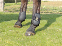 Kentucky ochraniacze Air Fetlock - czarne