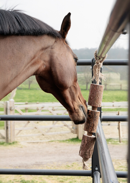Kentucky gryzak dla koni Relax Horse Toy - naturalny