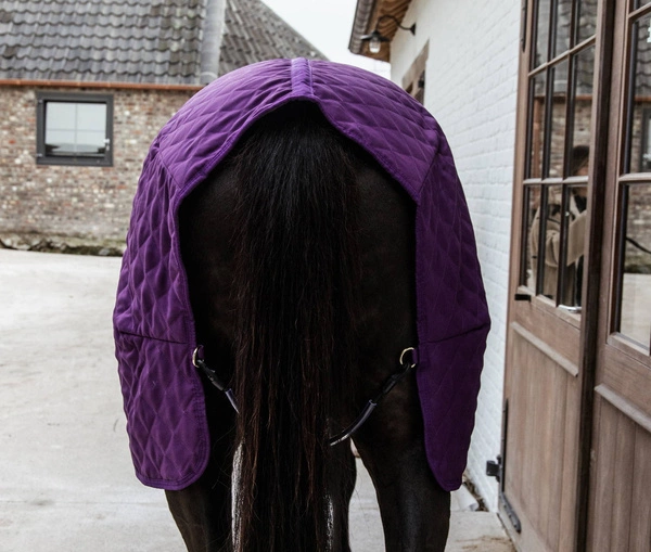 Kentucky derka stajenna Show 160 g - fioletowa