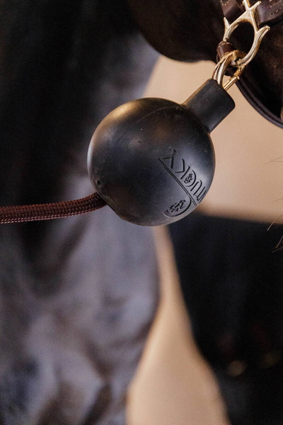 Kentucky Rubber Ball Protection - gumowa kula ochronna do uwiązów i ściany - czarna