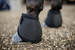 Kentucky kaloszki Heel Protection