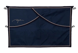 Dy'on bramka na boks