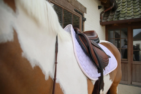 Kentucky czaprak Softshell Onion Quilt - jasny fiolet