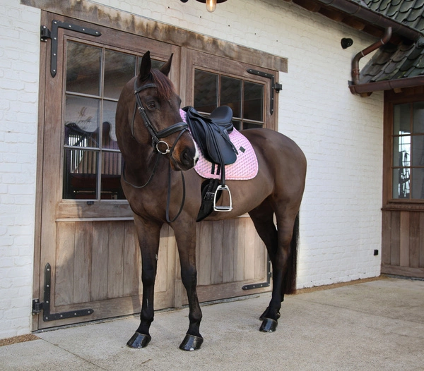 Kentucky czaprak Sammy Collection - różowy