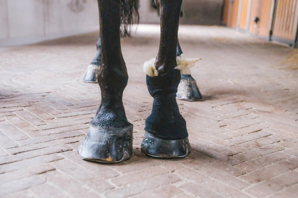 Wełna terapeutyczna - gruda i problemy skórne