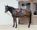 Kentucky czaprak Plaited Cord - granatowy