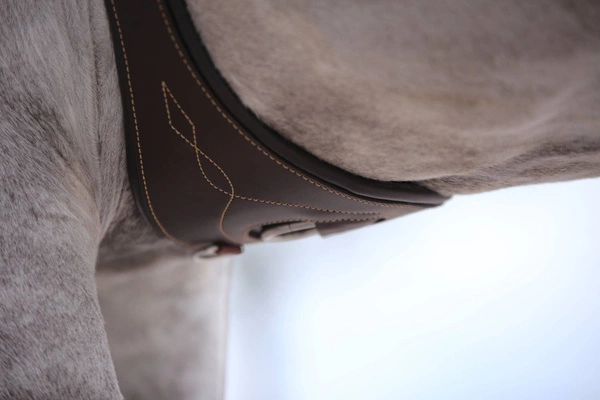 Kentucky popręg anatomiczny - brązowy