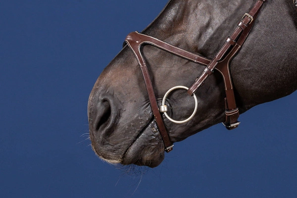 Nachrapnik angielski Dy'on X-Fit US Jumping