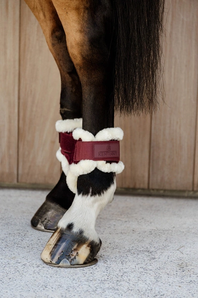 Kentucky Ochraniacze Vegan Sheepskin Young Horse Fetlock Velvet na zadnie nogi - bordowe