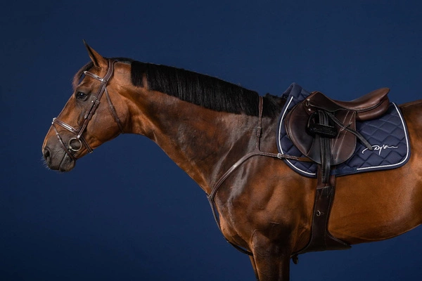 Skórzany napierśnik Dy'on Long Bridge Breastplate US Jumping - brązowy