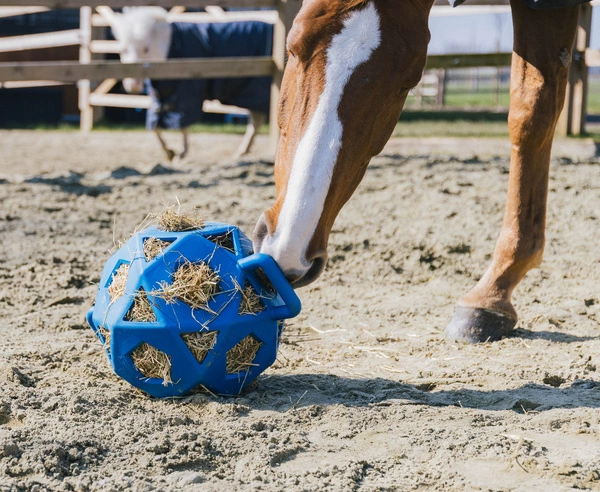 Kentucky elastyczna piłka na siano Relax Horse Play & Hay Ball - niebieska