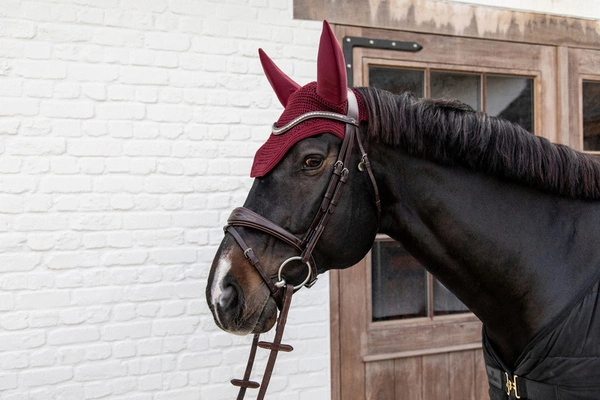 Kentucky nauszniki wyciszające Wellington - bordowe