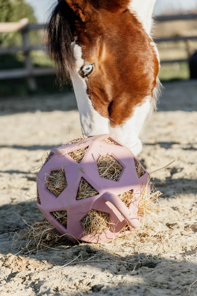 Kentucky elastyczna piłka na siano Relax Horse Play & Hay Ball - pudroworóżowa