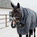 Kentucky derka przeciwdeszczowa do jazdy RainCoat Hurricane - szara