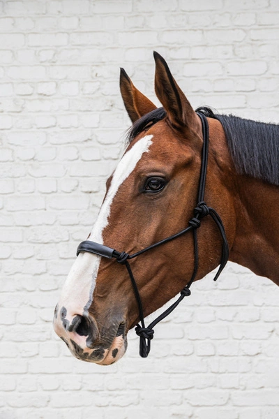 Kantar sznurkowy Kentucky Grooming Deluxe - czarny