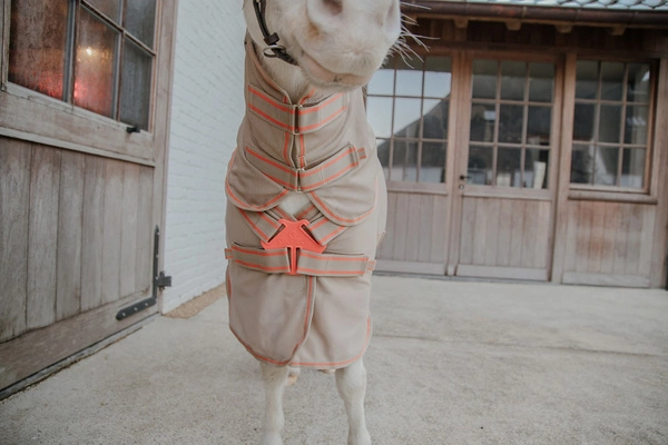 Derka Kentucky Mesh Fly Rug Comfort